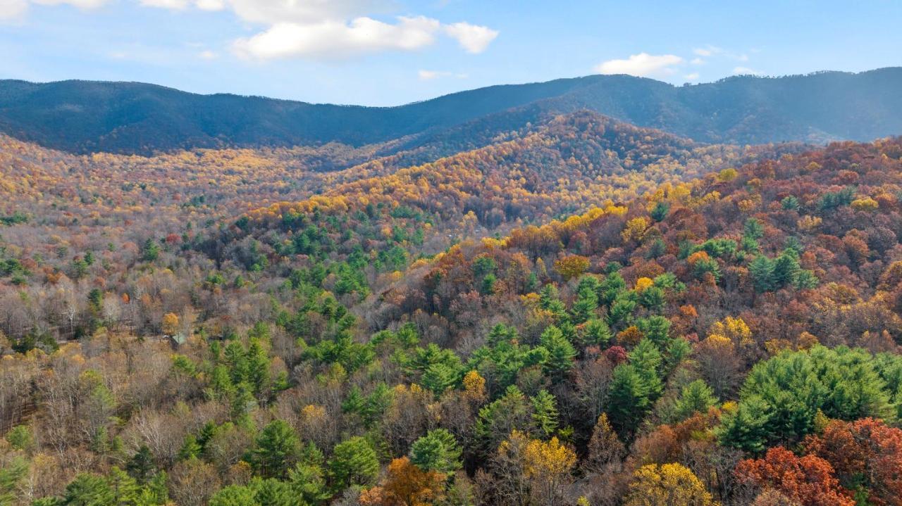 Sleepy Hollow 5Br Cabin - National Park 7 Min, Hot Tub, Fire Pit, Sleeps 12 Luray Eksteriør bilde